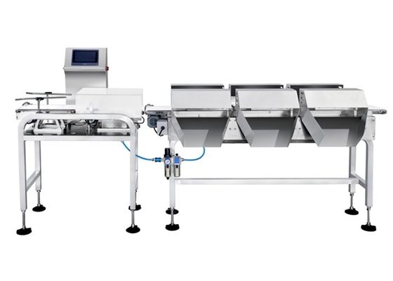 Масштаб Checkweigher 100P/M