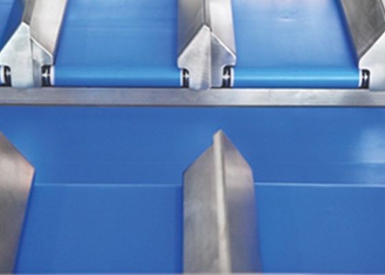 Weigher 12 главный автоматический Multihead
