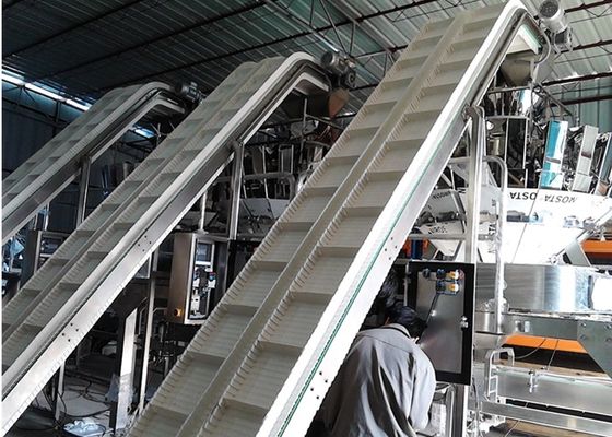 Auto  Box Type Packaging Machine With 10 Head Multihead Weigher For Vegetable And Fruit