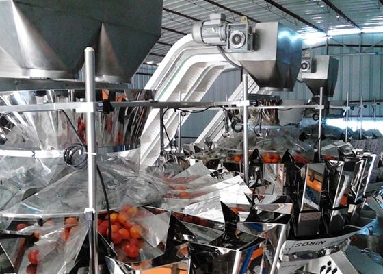 Auto  Box Type Packaging Machine With 10 Head Multihead Weigher For Vegetable And Fruit